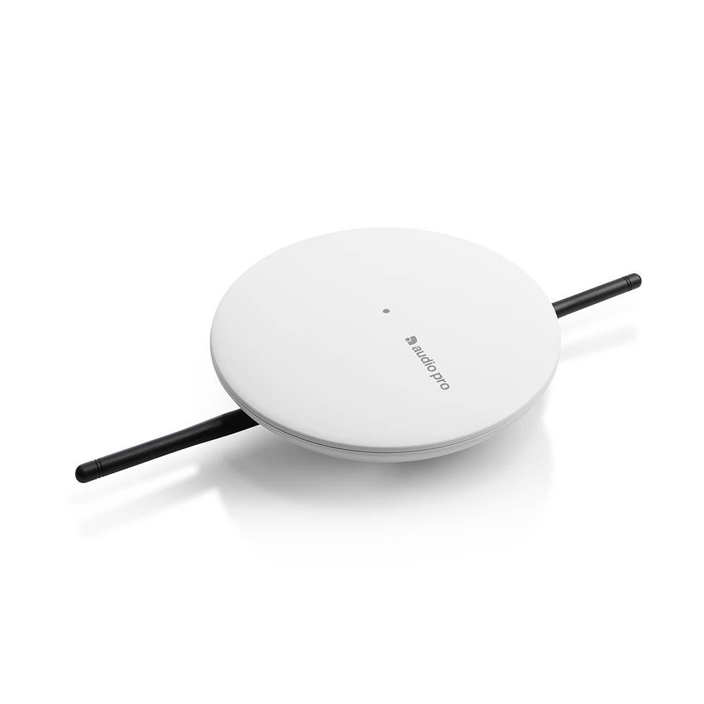 APB-TX-1-White-02