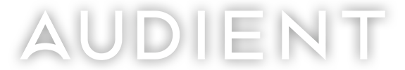 Logo-Audient-2021-about